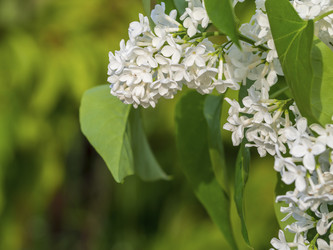 Similar image 21339878