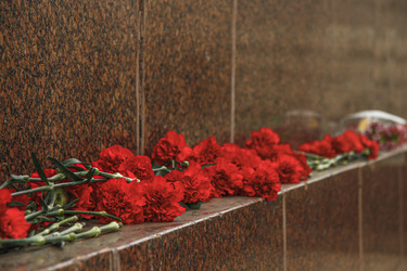 Similar image 21342991