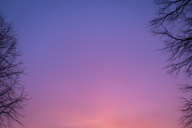 Similar image 21340021