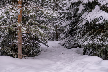 Similar image 21340022