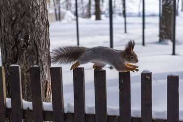 Similar image 21340027