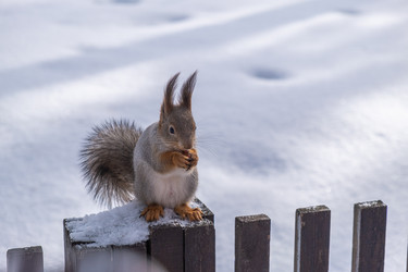 Similar image 21340028