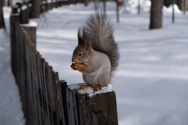 Similar image 21340030