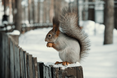 Similar image 21340031