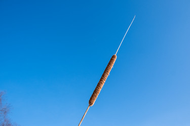 Similar image 21340033