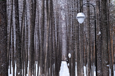 Similar image 21340034