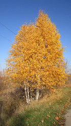 Similar image 21340534