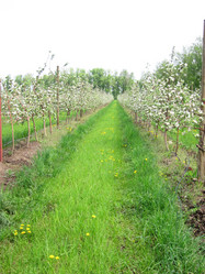 Similar image 21340536