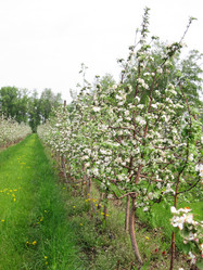 Similar image 21340537