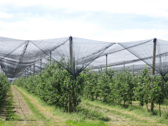 Similar image 21340538