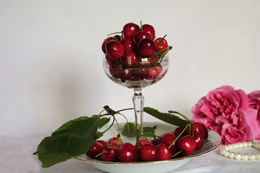 Similar image 21340545