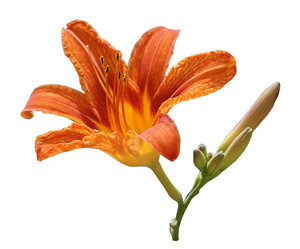 Similar image 21340044