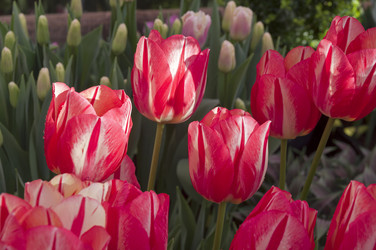 Similar image 21340555