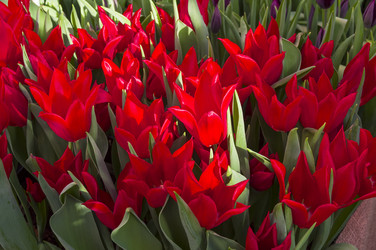 Similar image 21340556