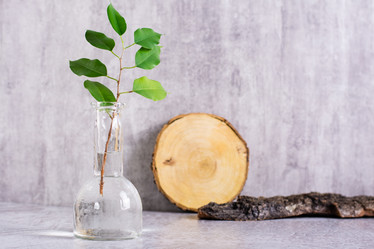 Similar image 21340476