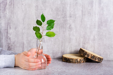 Similar image 21340743