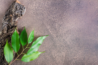 Similar image 21340753