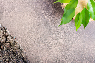 Similar image 21340755