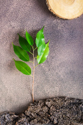 Similar image 21340758