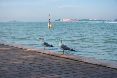 Similar image 21340631