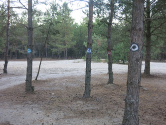 Similar image 21340559