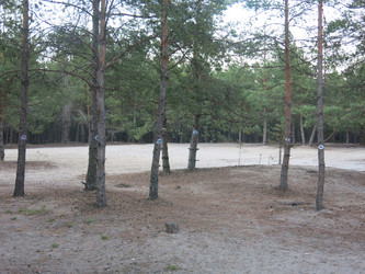 Similar image 21340561