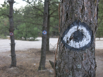 Similar image 21340562