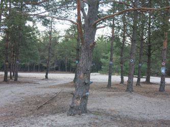 Similar image 21340563