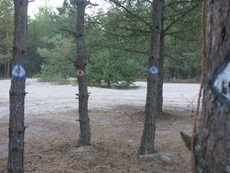 Similar image 21340565