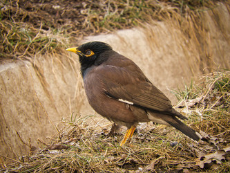 Similar image 21340566