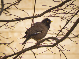 Similar image 21340567