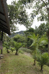 Similar image 21340594