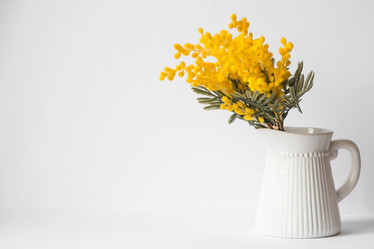 Similar image 21340778