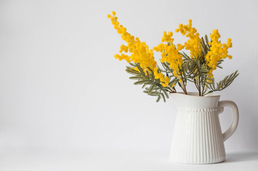 Similar image 21340780