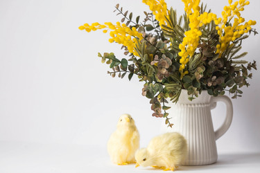 Similar image 21340782