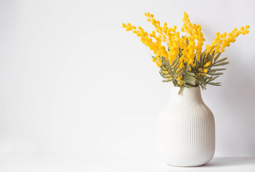 Similar image 21340785