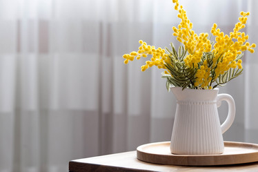 Similar image 21340792