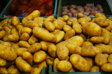 Similar image 21340577