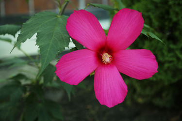 Similar image 21340672