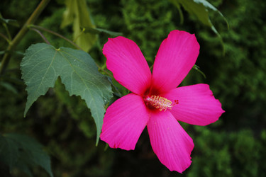 Similar image 21340673