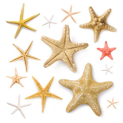 Similar image 21340898