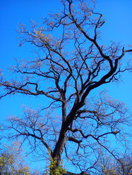 Similar image 21343135