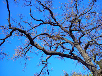 Similar image 21343193