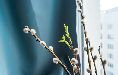 Similar image 21341968