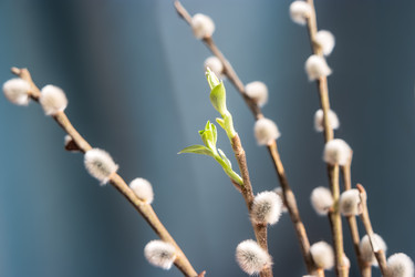 Similar image 21341969