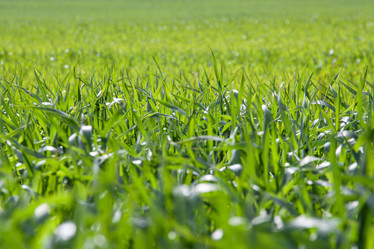 Similar image 21343079