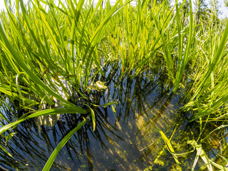 Similar image 21342364