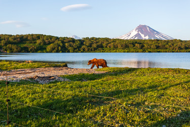 Similar image 21342369