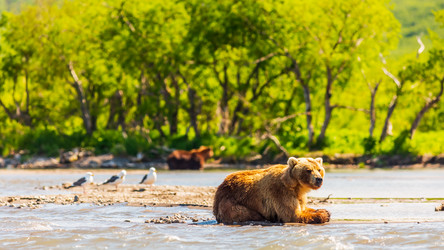 Similar image 21342370