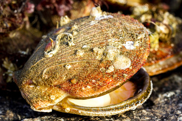 Similar image 21342375